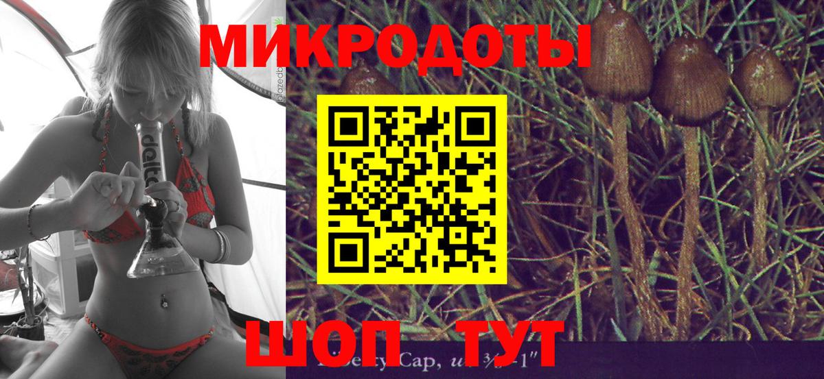 Псилоцибиновые грибы GOLDEN TEACHER Алапаевск
