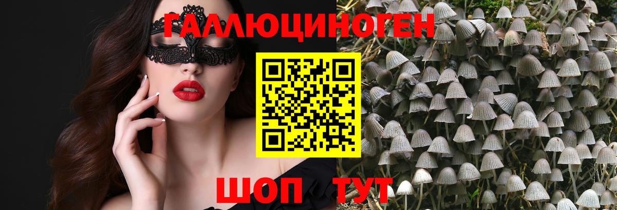 Псилоцибиновые грибы Psilocybine cubensis  Вход с VPN  Алапаевск 