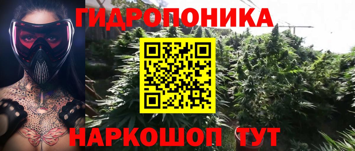 Алапаевск  Шишки марихуана план  Бошки марихуана план  Вход с VPN 